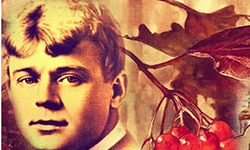 Всероссийская есенинская неделя, посвящённая празднованию 125-летия со дня рождения С.А. Есенина