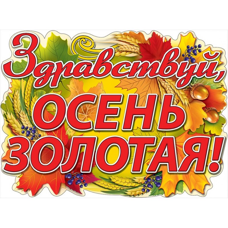 Здравствуй, осень золотая!