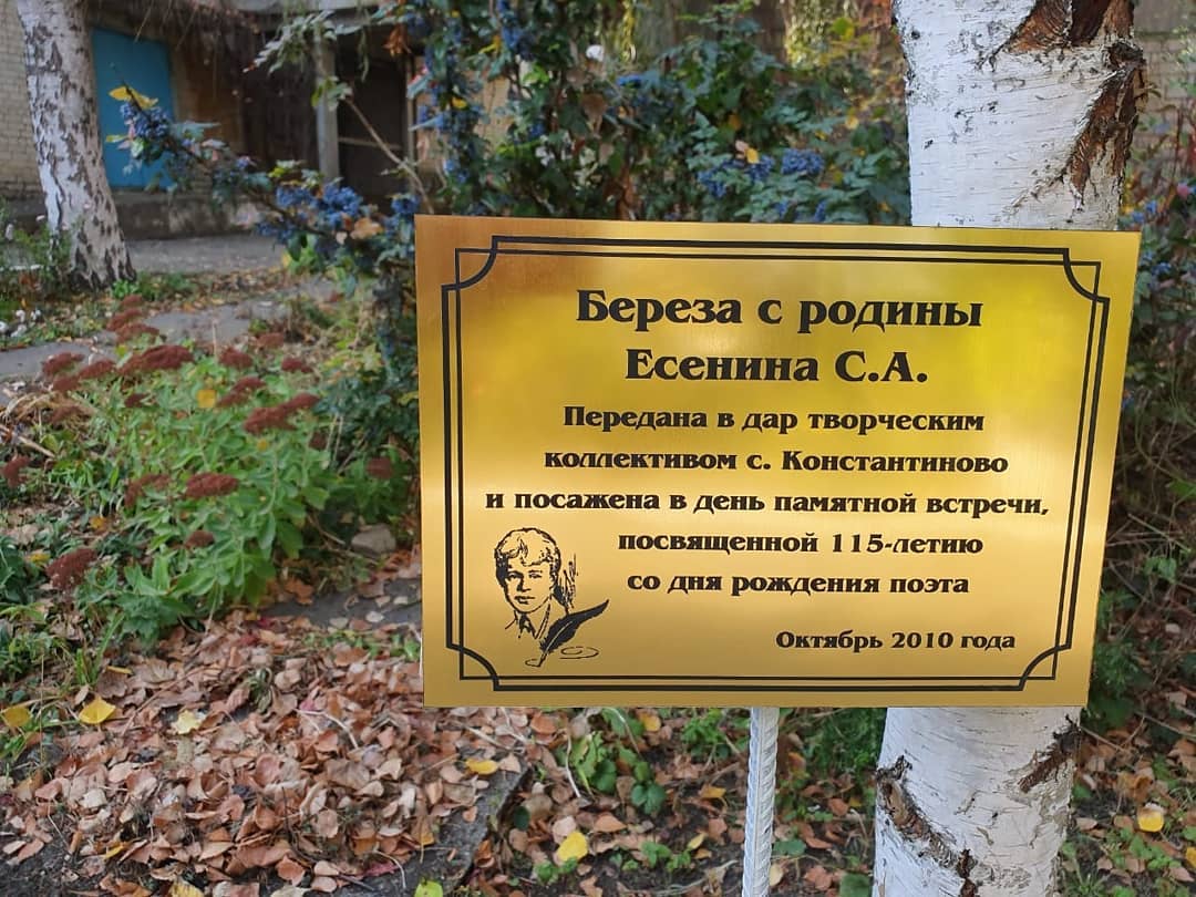 125 лет со дня рождения великого русского поэта Сергея Есенина.