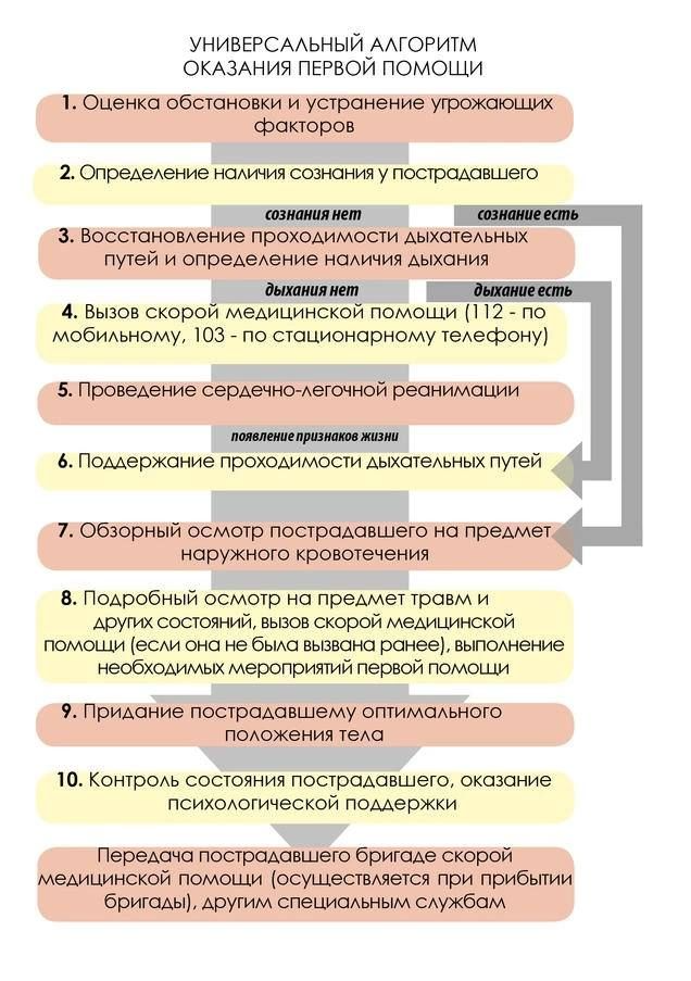 УНИВЕРСАЛЬНЫЙ АЛГОРИТМ ОКАЗАНИЯ ПЕРВОЙ ПОМОЩИ